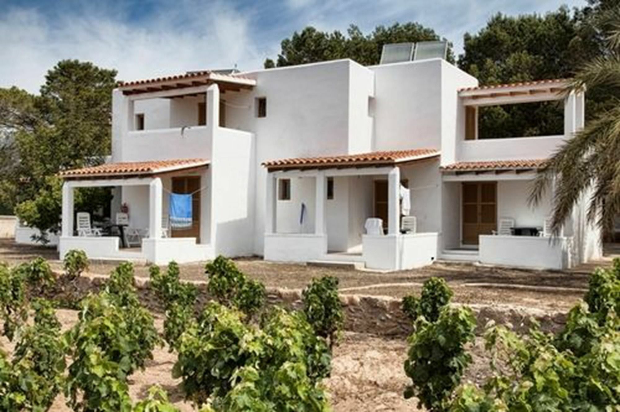 Bungalows Es Pins - Emar Hotels Playa Migjorn Exteriér fotografie