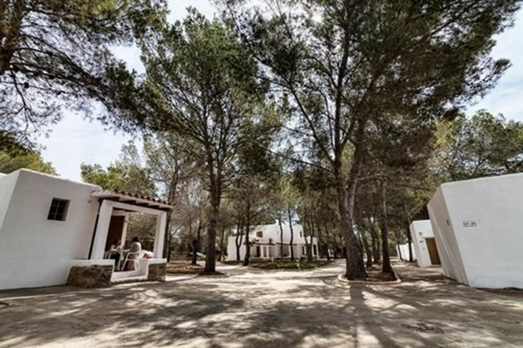 Bungalows Es Pins - Emar Hotels Playa Migjorn Exteriér fotografie